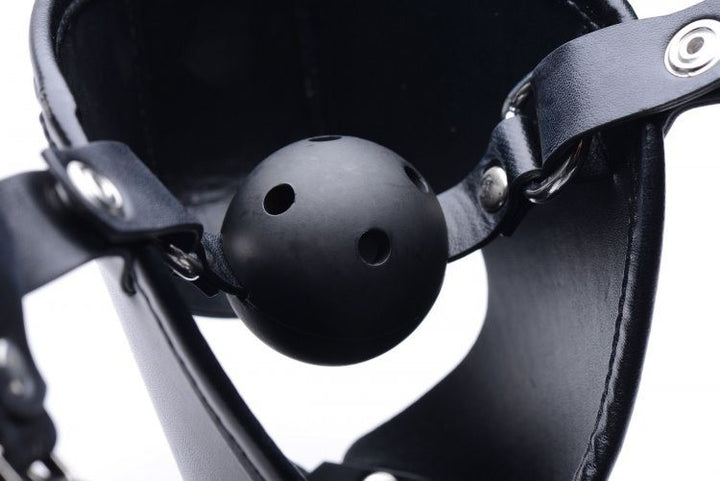 Master Series Pup Puppy Play Hood and Breathable Ball Gag