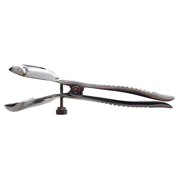 Stainless Steel Anal Speculum