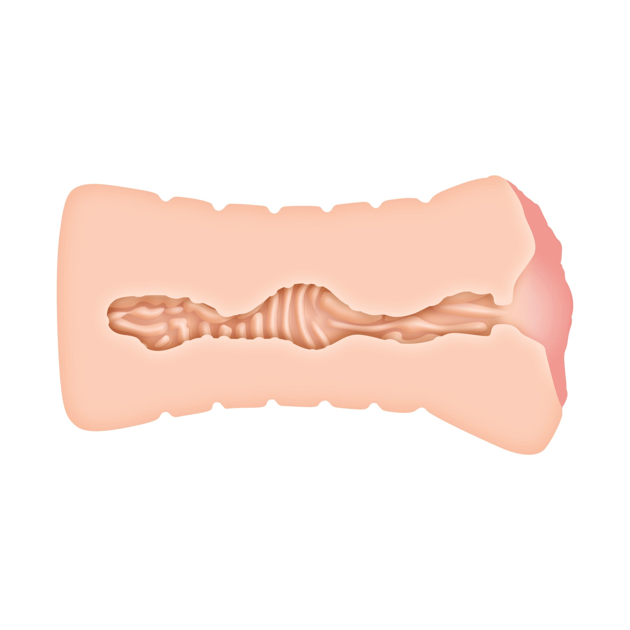 Zero Tolerance Lisa Ann Realistic Vagina Stroker – Light