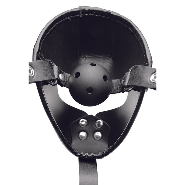 Master Series Pup Puppy Play Hood and Breathable Ball Gag