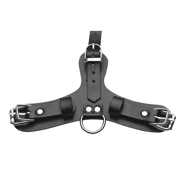 Master Series Pup Puppy Play Hood and Breathable Ball Gag