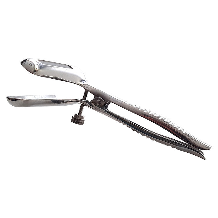 Stainless Steel Anal Speculum