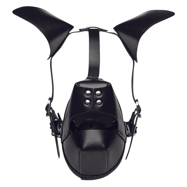 Master Series Pup Puppy Play Hood and Breathable Ball Gag