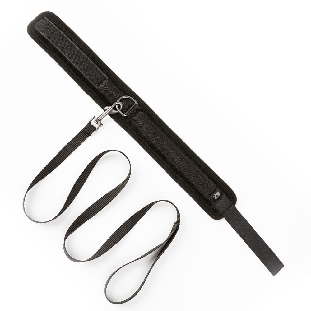 Sei Mio Take the Lead Padded Collar and Leash