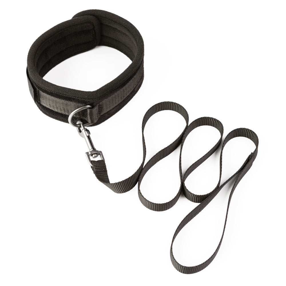 Sei Mio Take the Lead Padded Collar and Leash