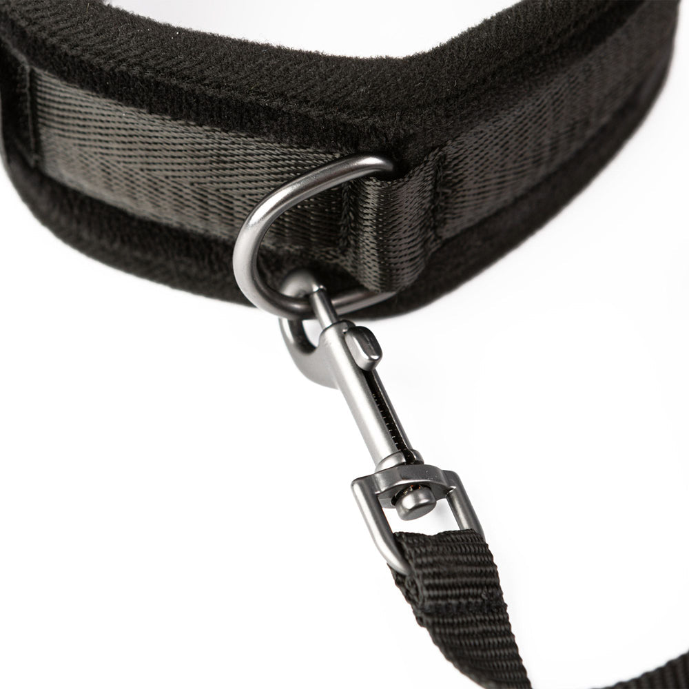 Sei Mio Take the Lead Padded Collar and Leash