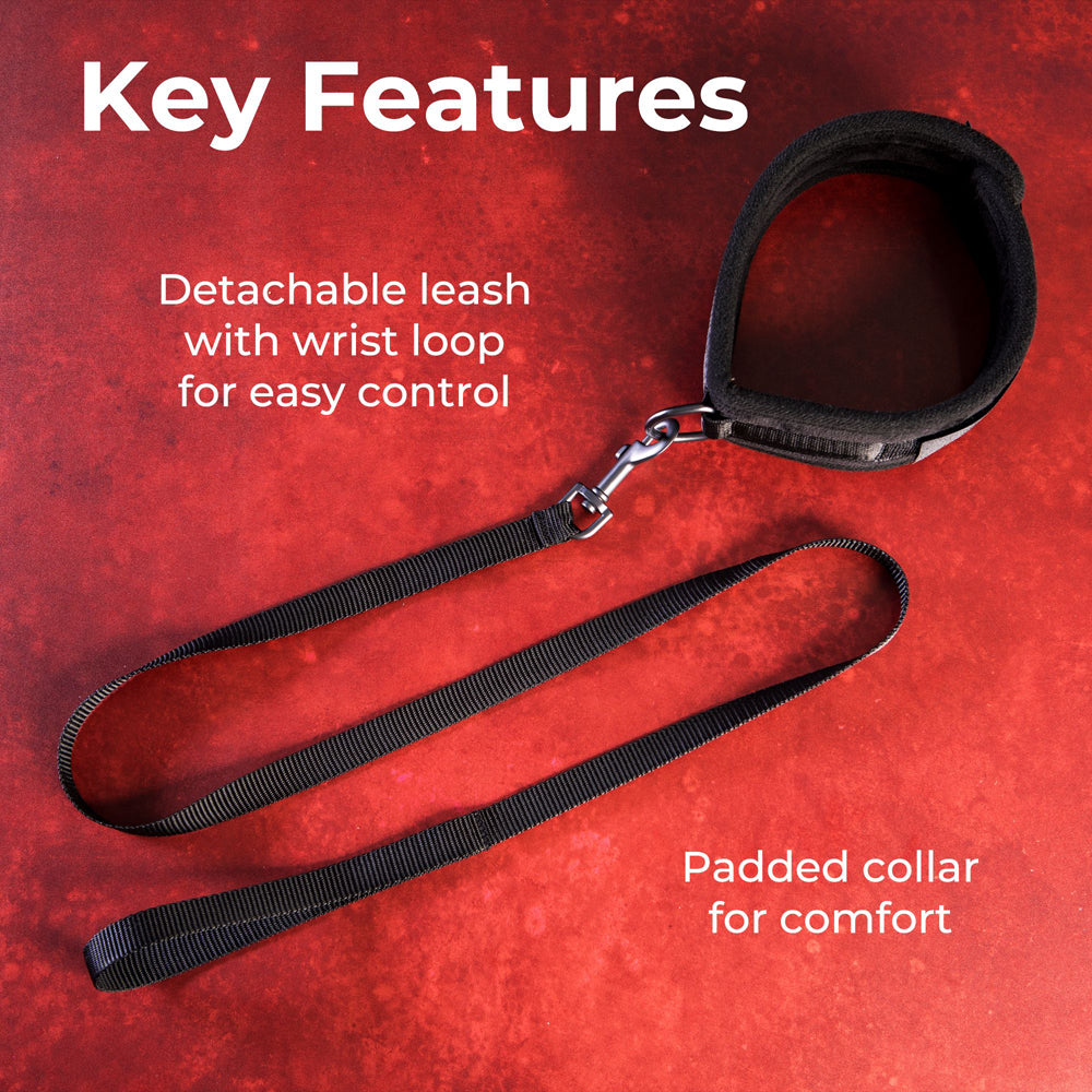 Sei Mio Take the Lead Padded Collar and Leash