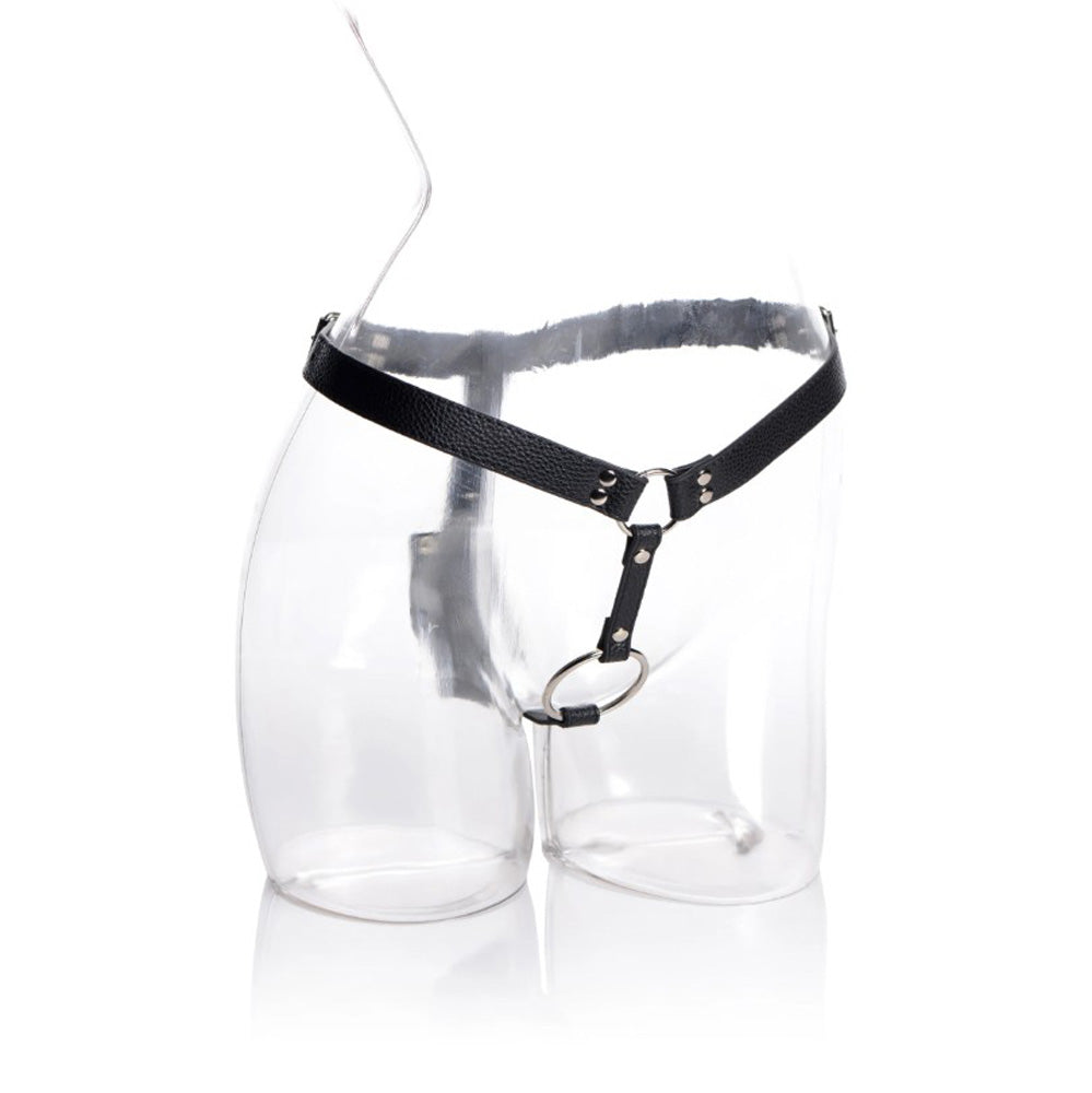 Cock Ring Harness w/ Silicone Anal Plug